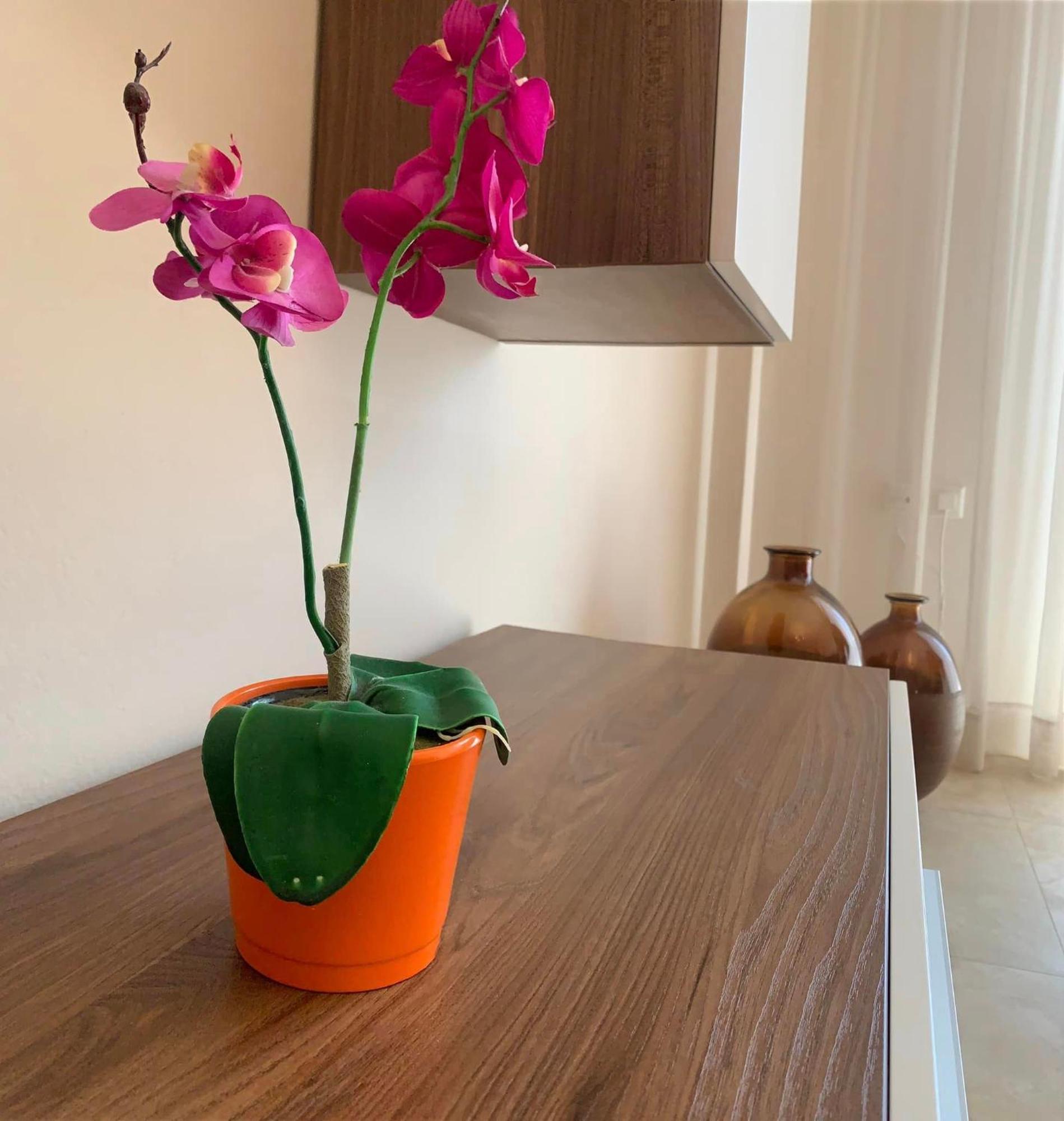 Appartement Αpartments Anna Deluxe à Kavala Extérieur photo